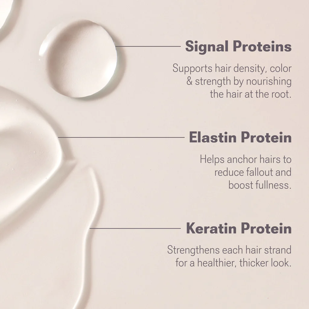 LASH and BROW Dual System