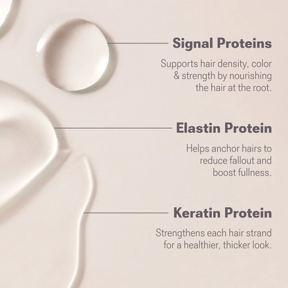 LASH and BROW Dual System