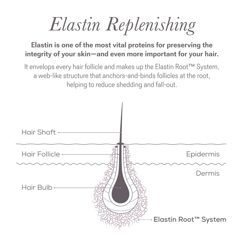 LASH and BROW Dual System