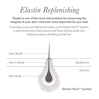 LASH and BROW Dual System